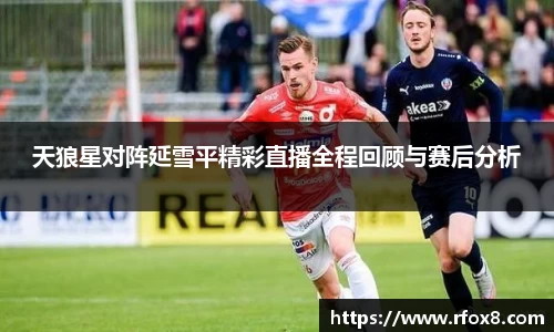 天狼星对阵延雪平精彩直播全程回顾与赛后分析